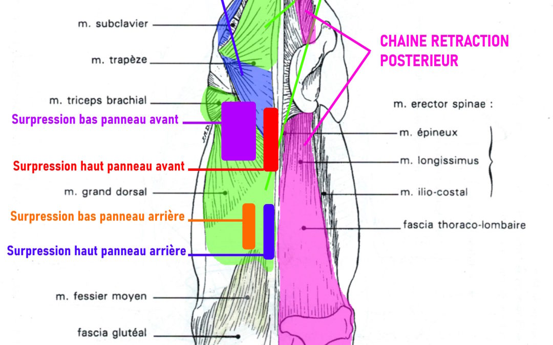 Que cherche-t-on avec la mesure de pression?